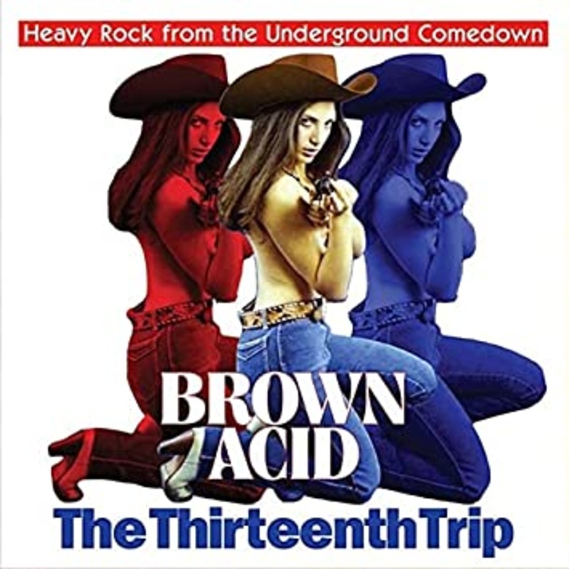 VARIOUS BROWN ACID Thirteenth trip LP