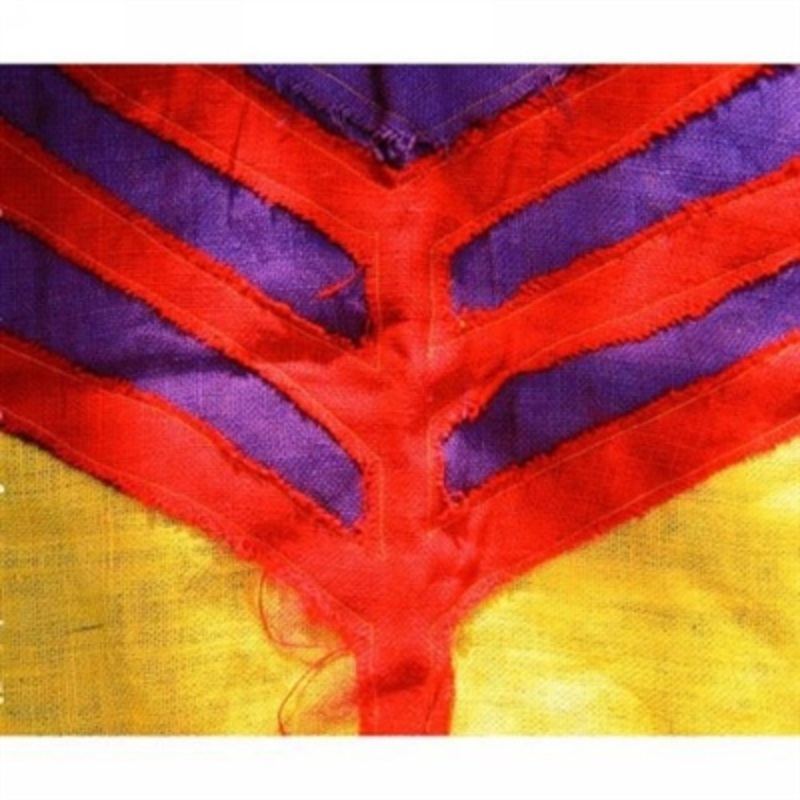 Yeah Yeah Yeahs – Show Your Bones – VINYL LP