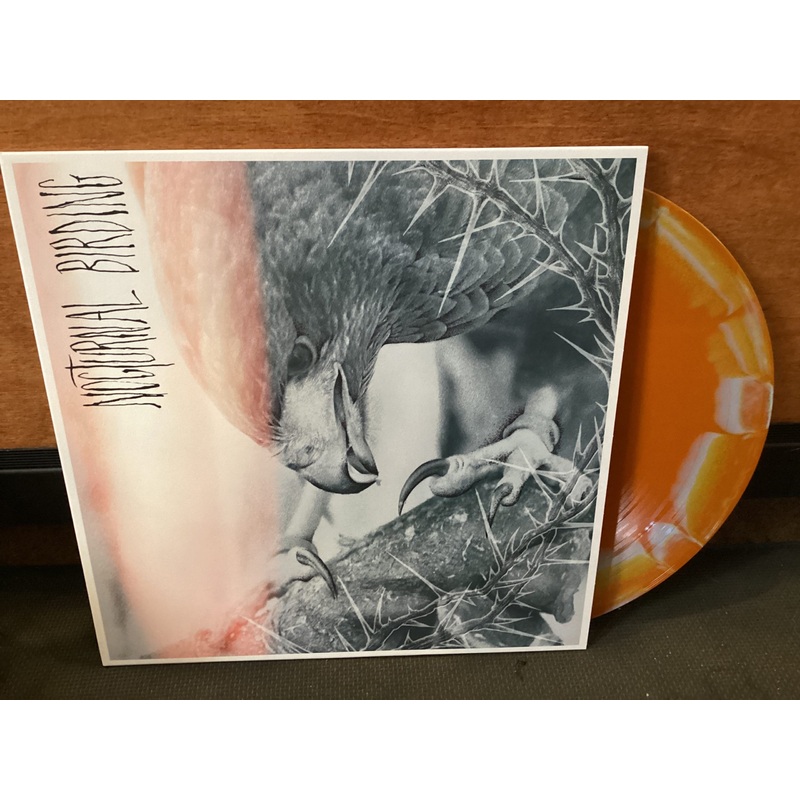 AUTHOR & PUNISHER – Nocturnal Birding (Custom Merge Vinyl)