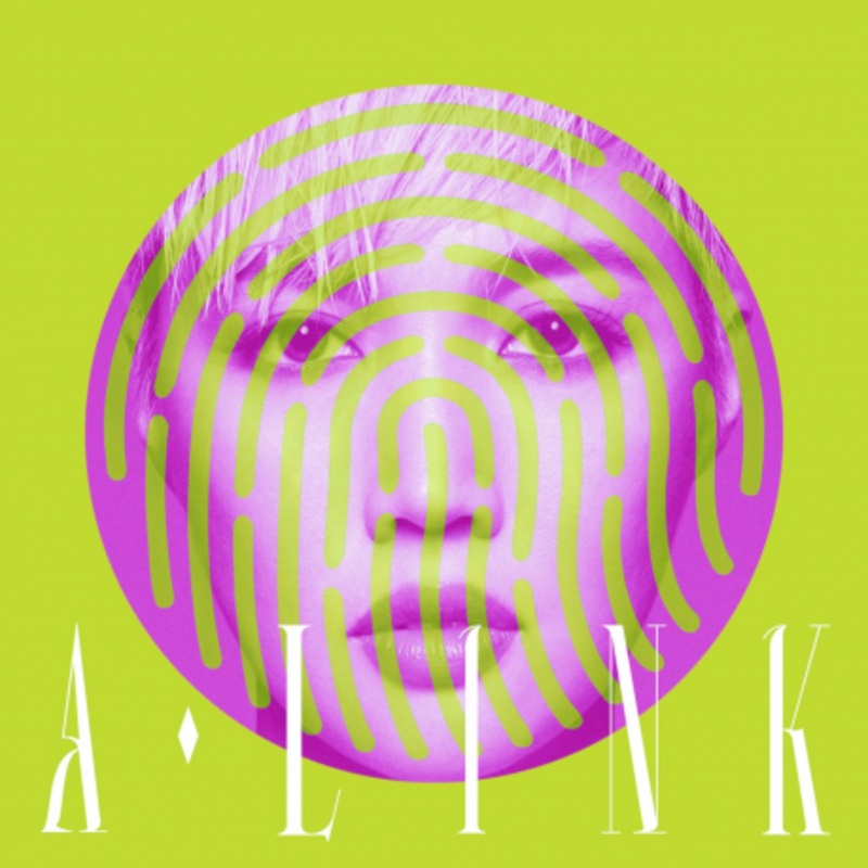 A-LIN  LINK (Vinyl) LINK ()  Roxy Disc House
