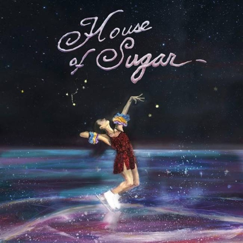 (Sandy) Alex G – House Of Sugar – VINYL LP