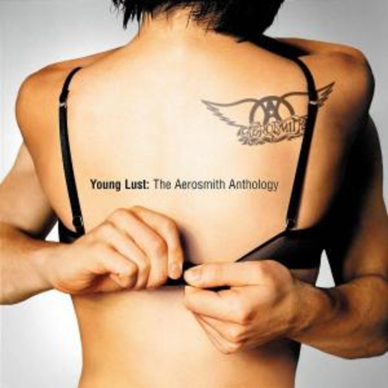 Aerosmith  Young Lust: the Aerosmith Anthology (CD) (2001)