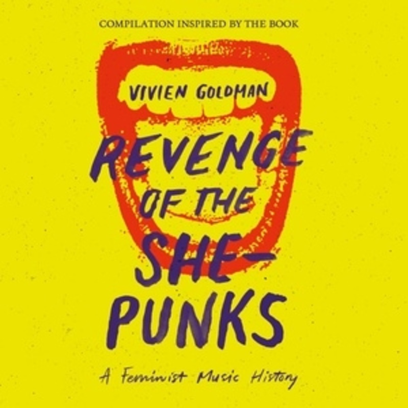 Various Artists – Revenge of the She-Punks: Compilation Inspired by the Book by Vivien Goldman – VINYL LP
