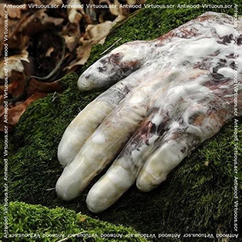 Antwood – Virtuous.Scr – VINYL LP