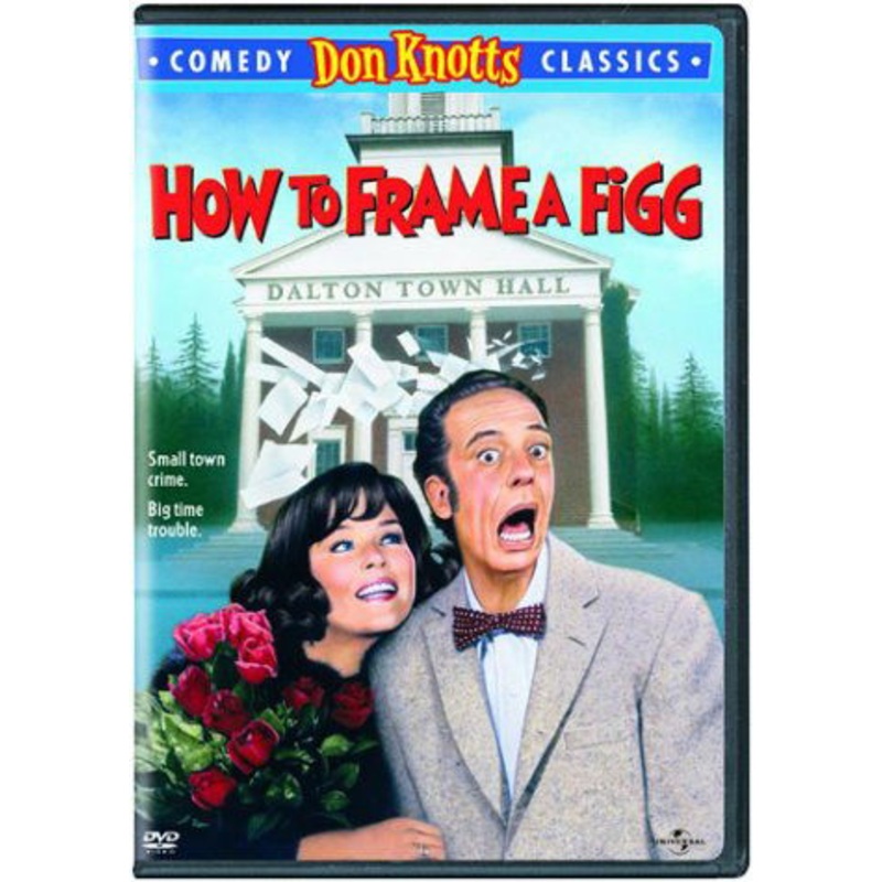 How to Frame a Figg (DVD) (2003)