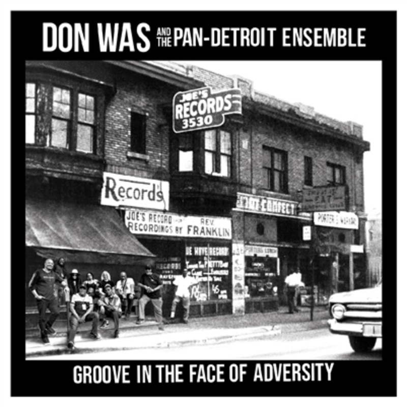 Don Was – Groove In The Face Of Adversity – VINYL LP