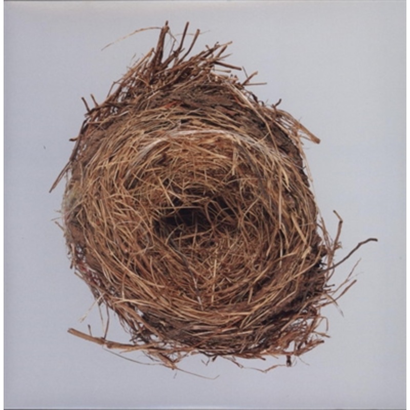 Wilco – A Ghost Is Born – VINYL LP