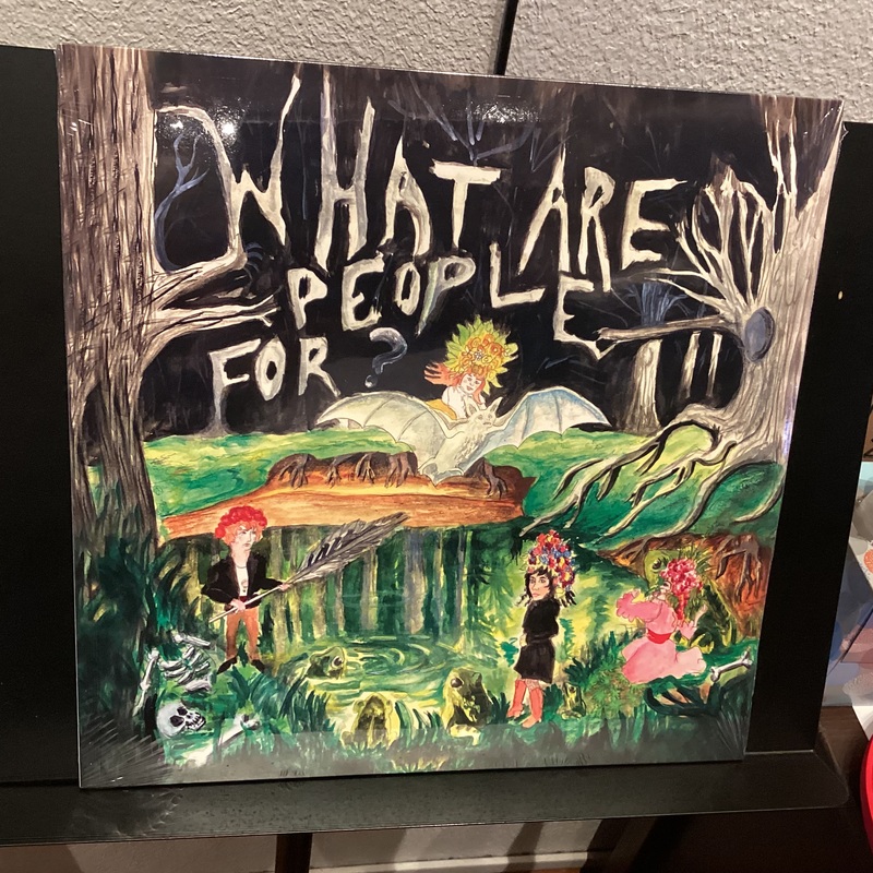 WHAT ARE PEOPLE FOR s/t LP