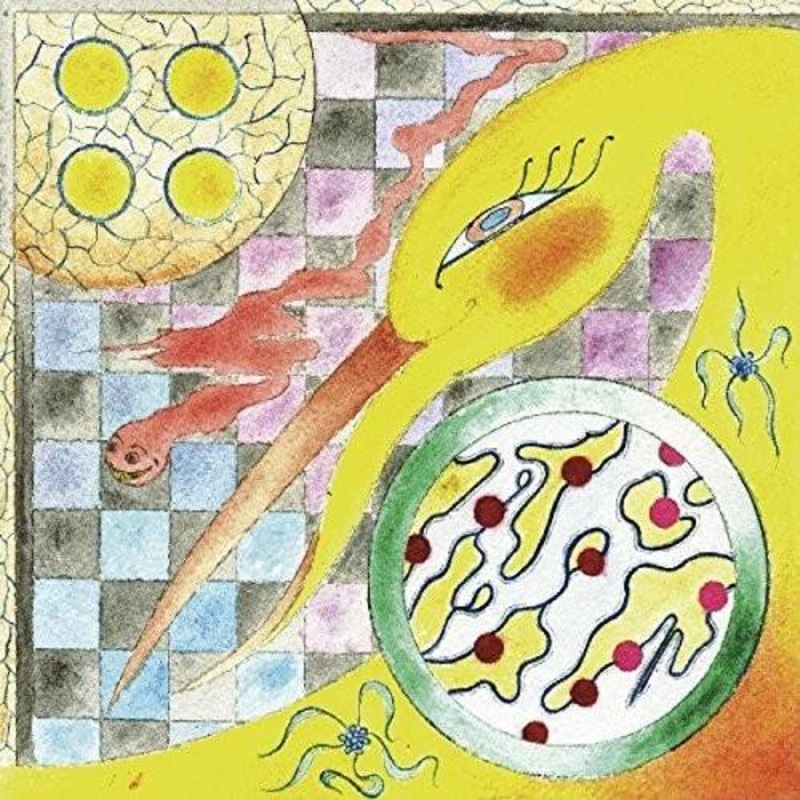 Wand – Perfume – VINYL LP