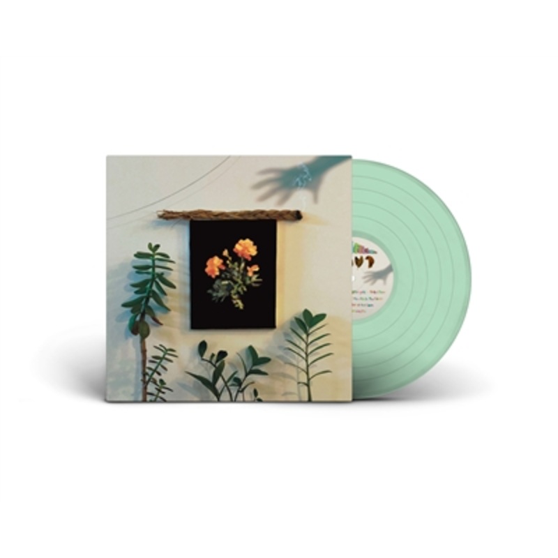 WHY? – The Well I Fell Into (Coke Bottle Clear Vinyl) – VINYL LP
