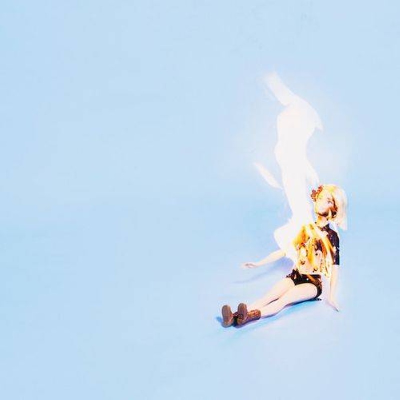Well Wisher – This Is Fine – Vinyl LP