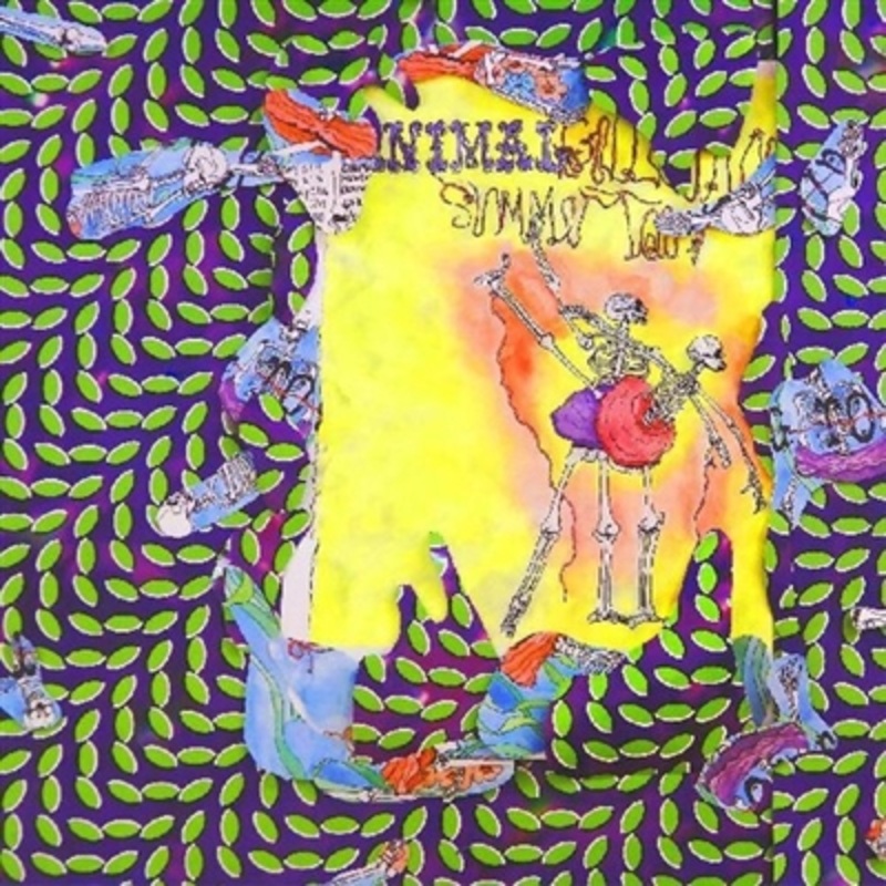 Animal Collective – Ballet Slippers – VINYL LP