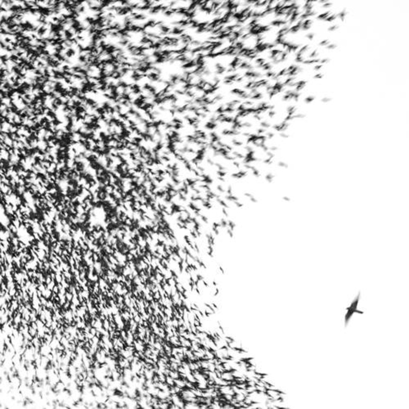 Wilco – Sky Blue Sky – VINYL LP