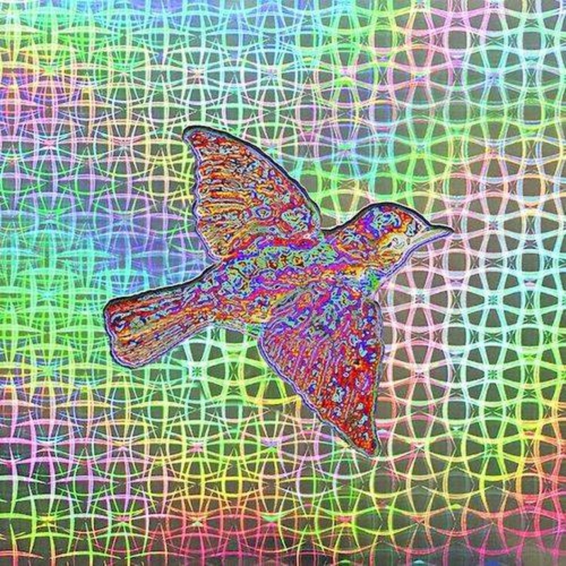Widespread Panic – Till The Medicine Takes(Bonus Tracks) (140 gram vinyl) (Box Set) – VINYL LP