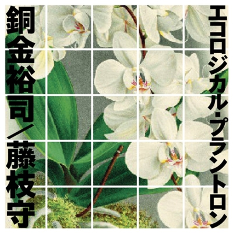 Yuji Dogane & Mamoru Fujieda – Ecological Plantron – VINYL LP