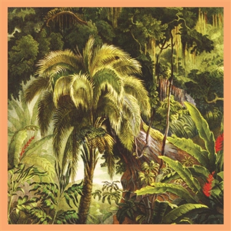 Xiu Xiu – La Foret (Sunset Swirl Vinyl) – VINYL LP