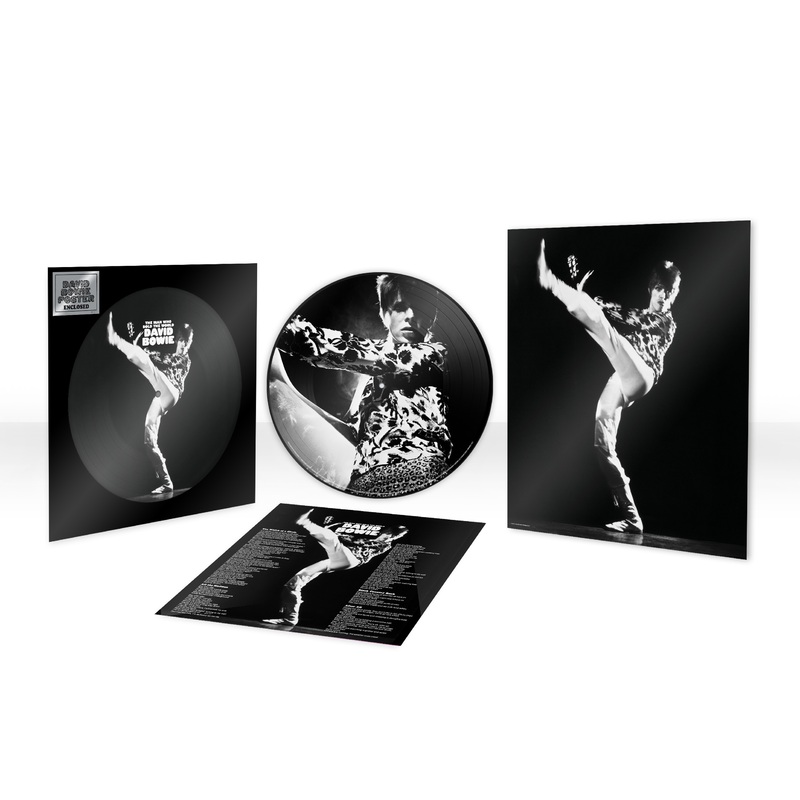 The Man Who Sold The World Picture Disc