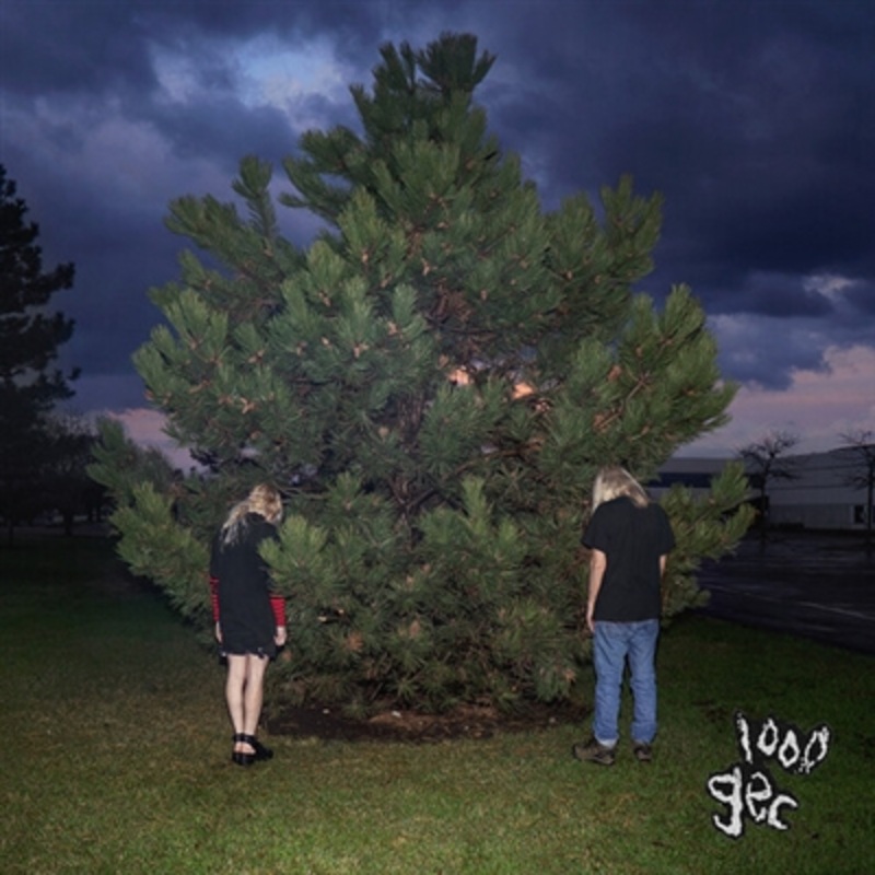 100 gecs –  1000 Gecs – VINYL LP
