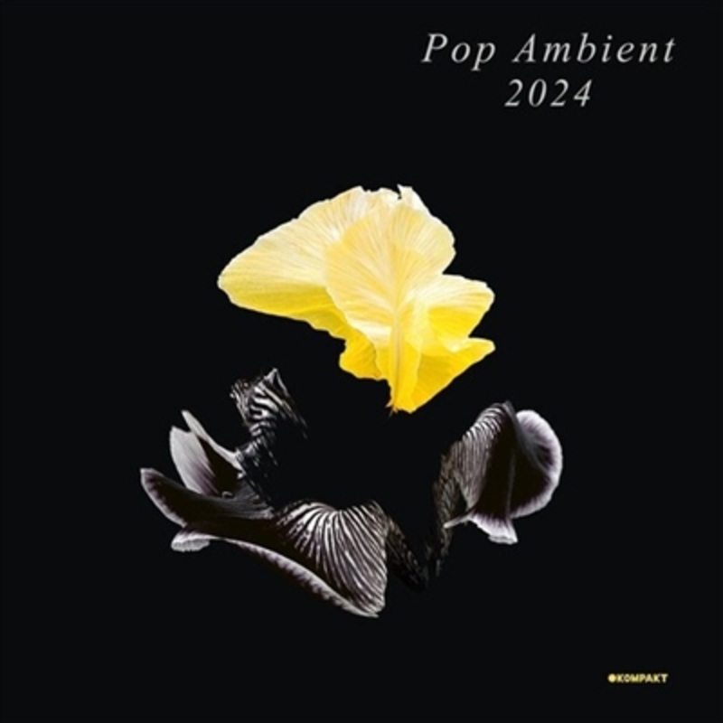 Various Artists – Pop Ambient 2024 – VINYL LP