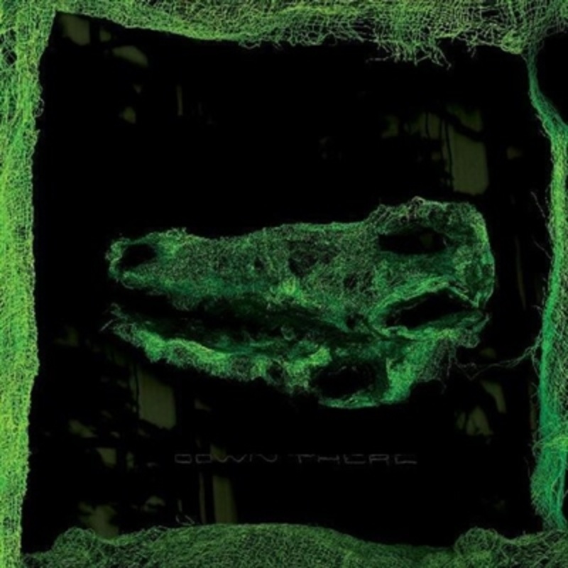 Avey Tare – Down There VINYL LP