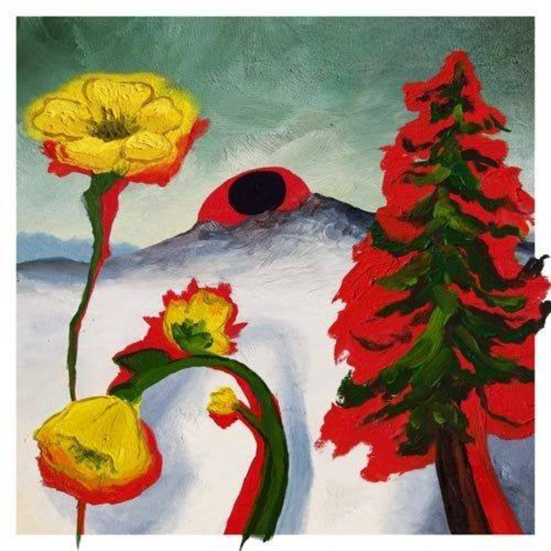 Woods – Strange To Explain (Color Vinyl) – Vinyl LP