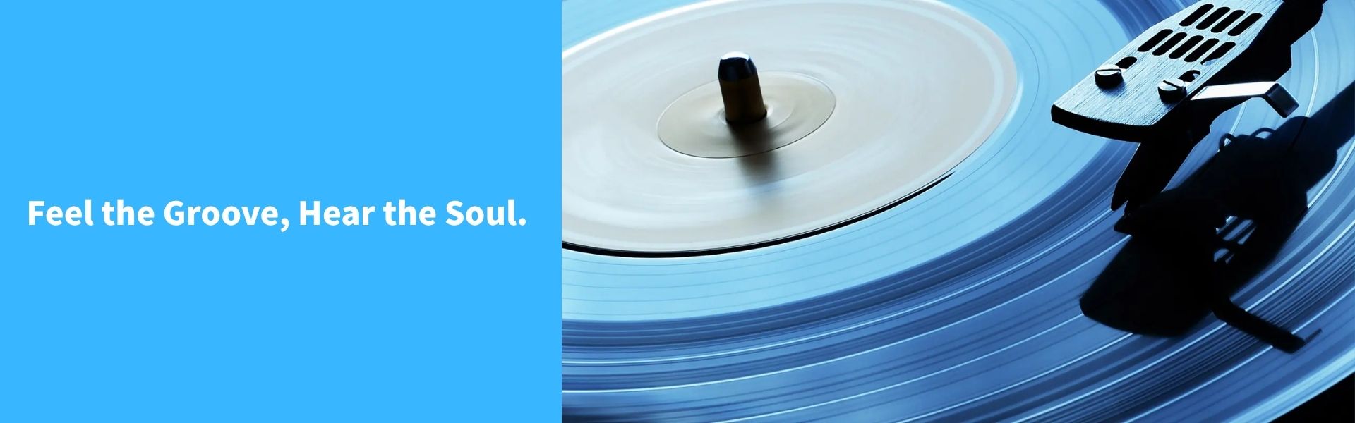 Vintage Vinyl Records & Timeless Music Collections That Define Authentic Sound